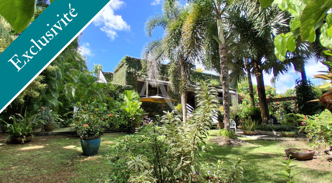 Un havre tropical avec rooftop : une maison unique !