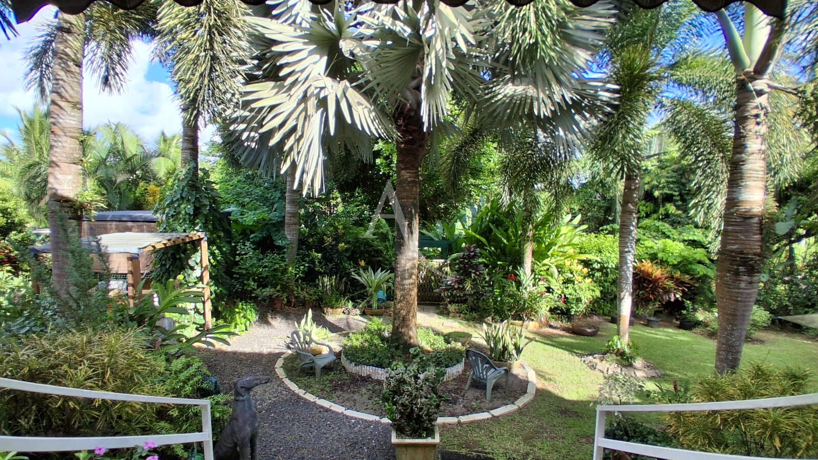 Photo Un havre tropical avec rooftop : une maison unique ! image 3/6
