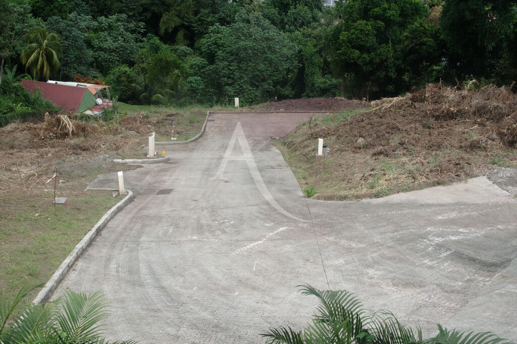 TERRAIN VIABILISE de 603 M2 A VENDRE AU FRANCOIS