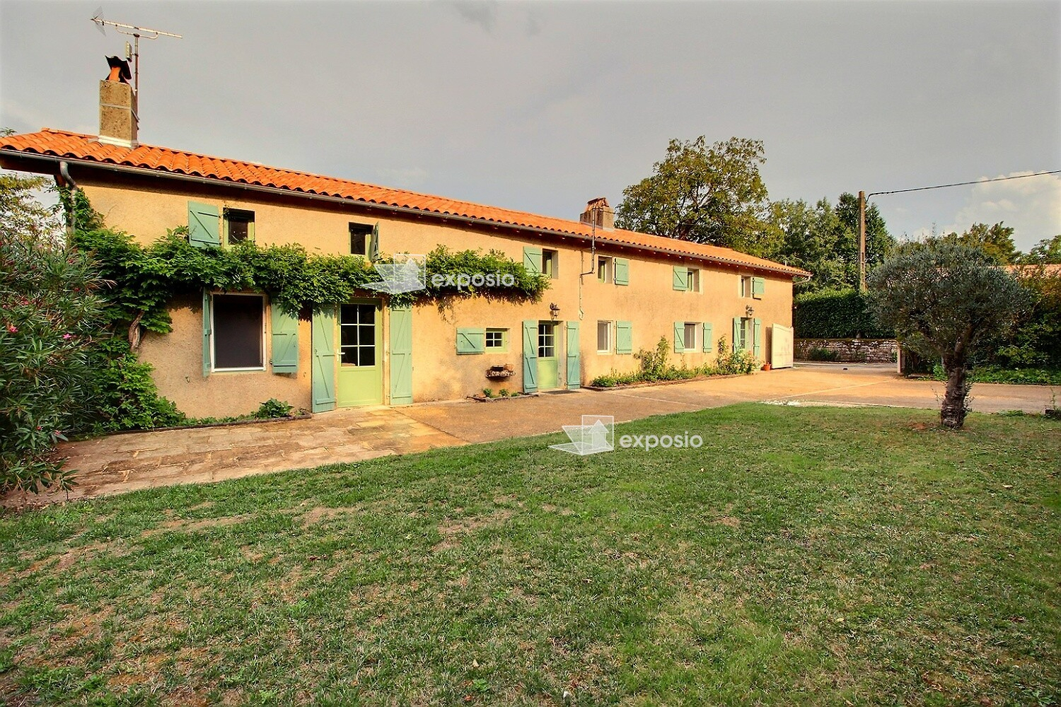 Agence immobilière de 203 Immobilier
