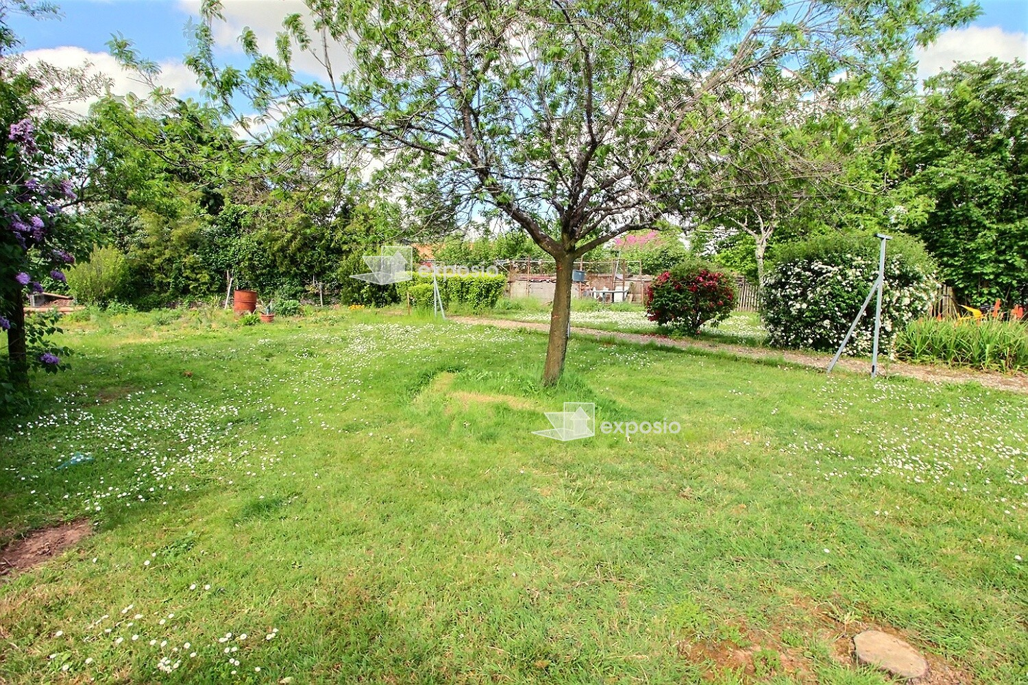 Agence immobilière de 203 Immobilier