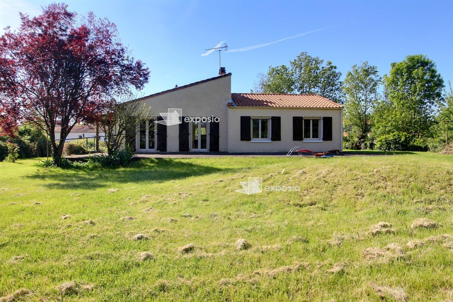 Agence immobilière de 203 Immobilier