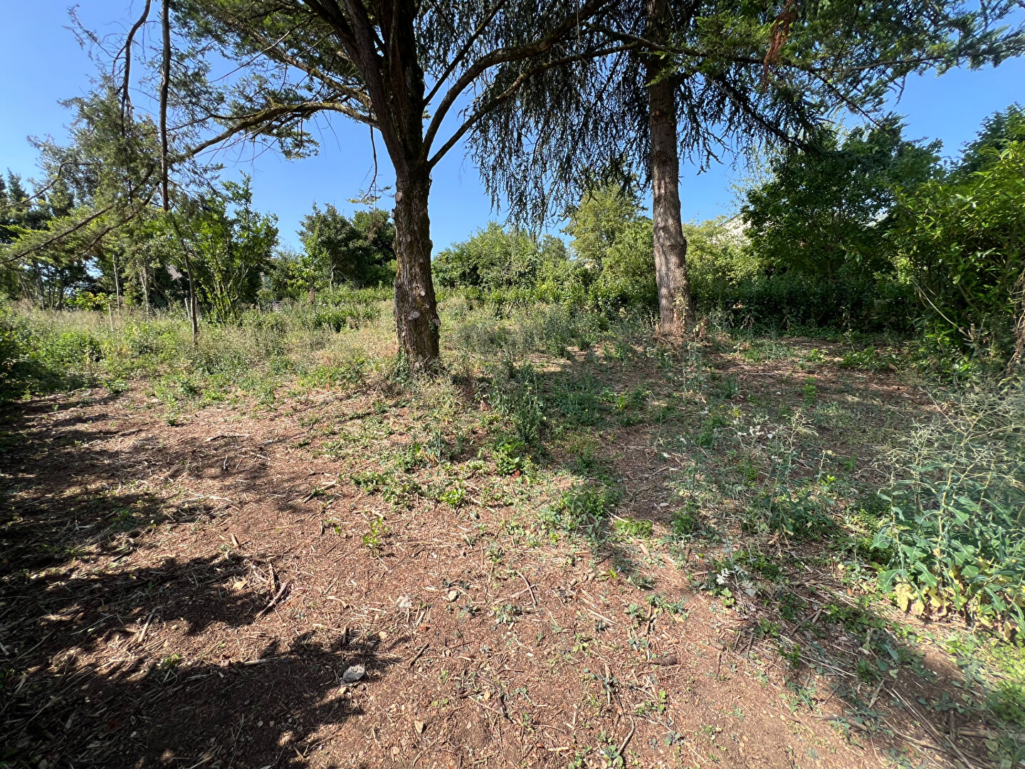 Agence immobilière de 203 Immobilier
