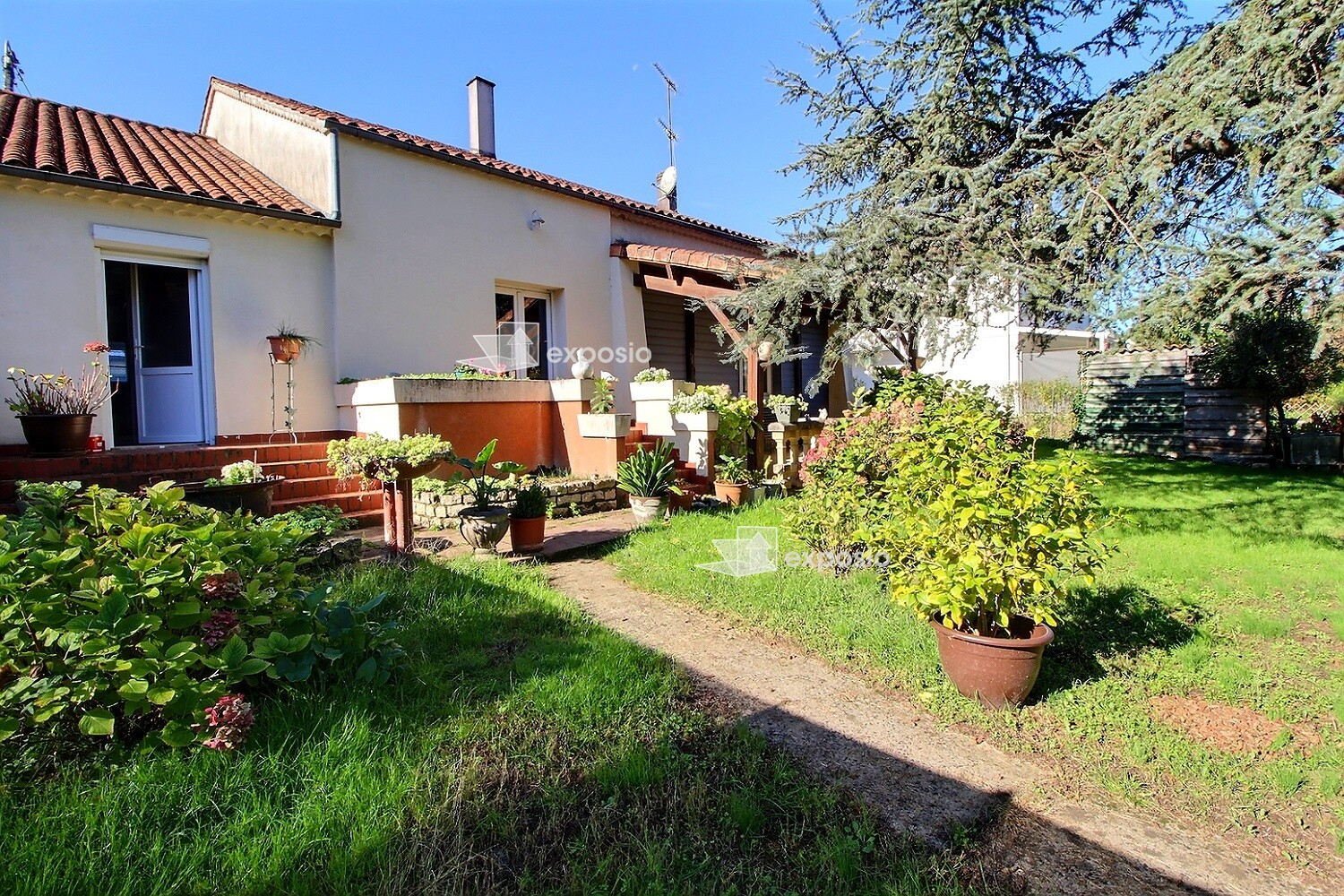 Agence immobilière de 203 Immobilier