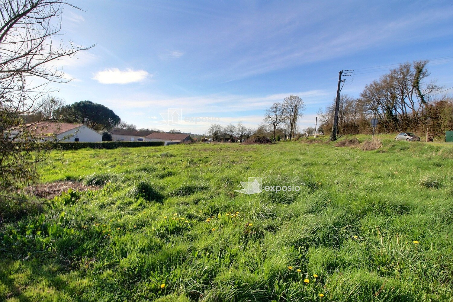 Agence immobilière de 203 Immobilier