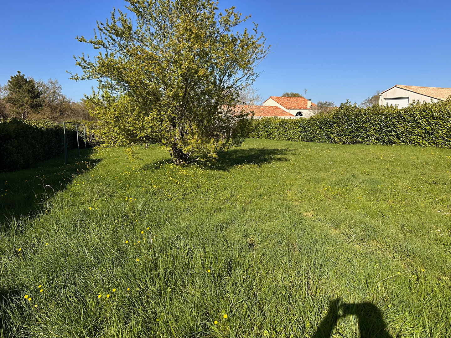 Agence immobilière de 203 Immobilier