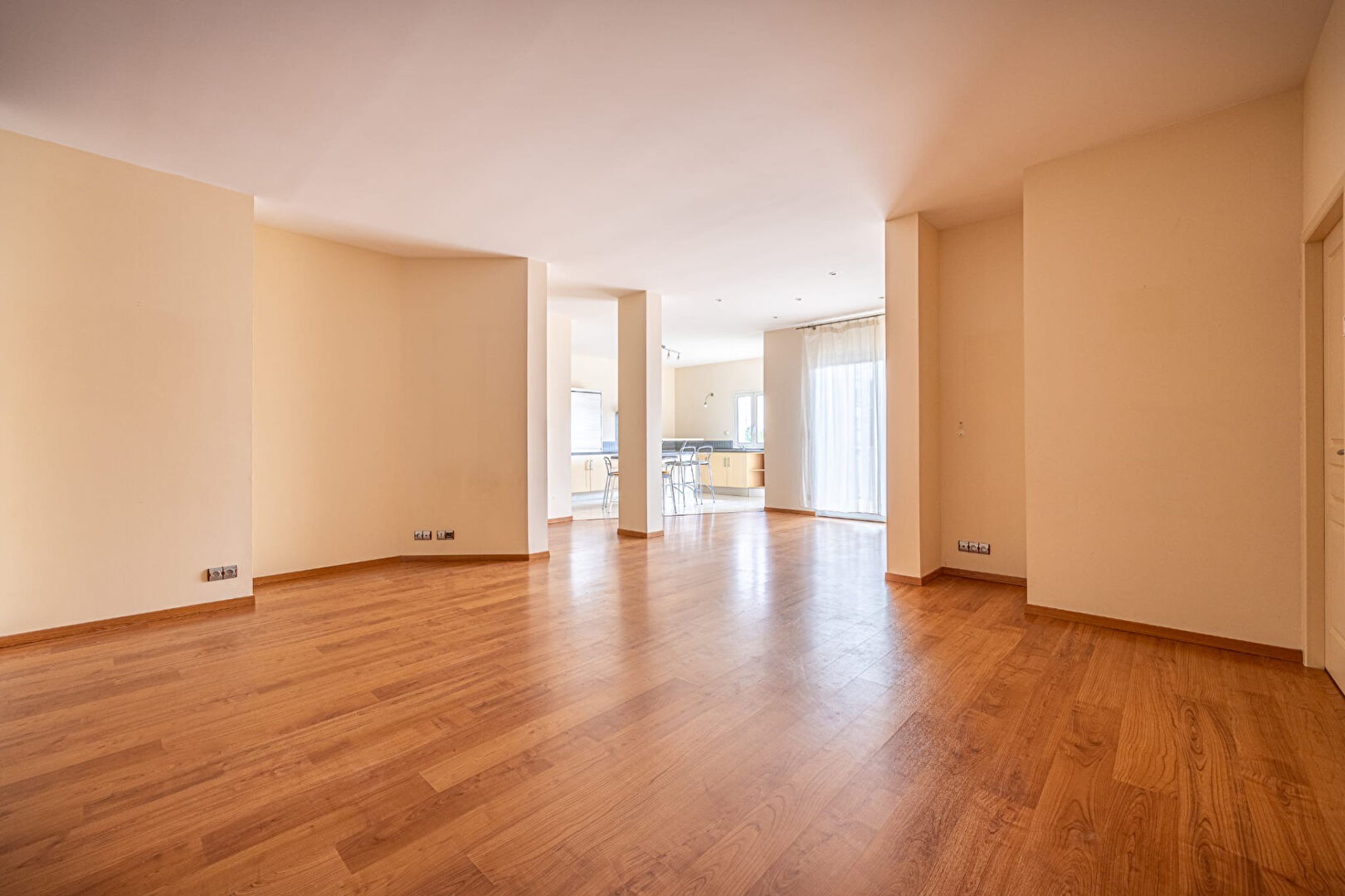 Agence immobilière de 203 Immobilier