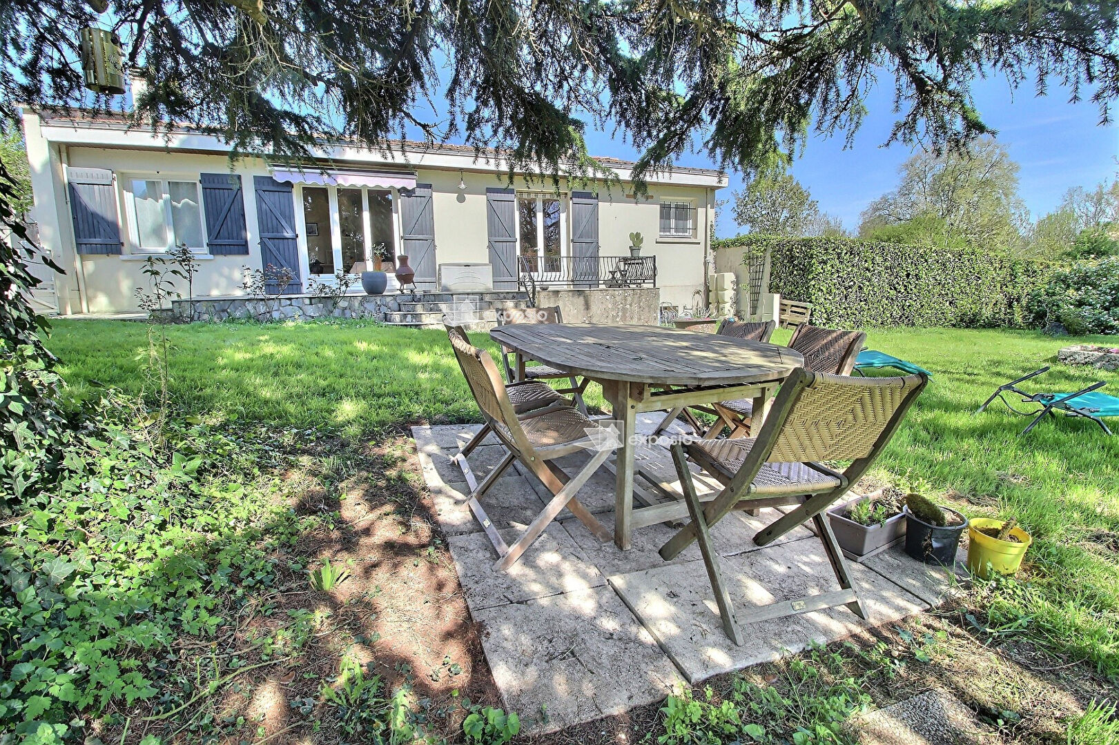 Agence immobilière de 203 Immobilier