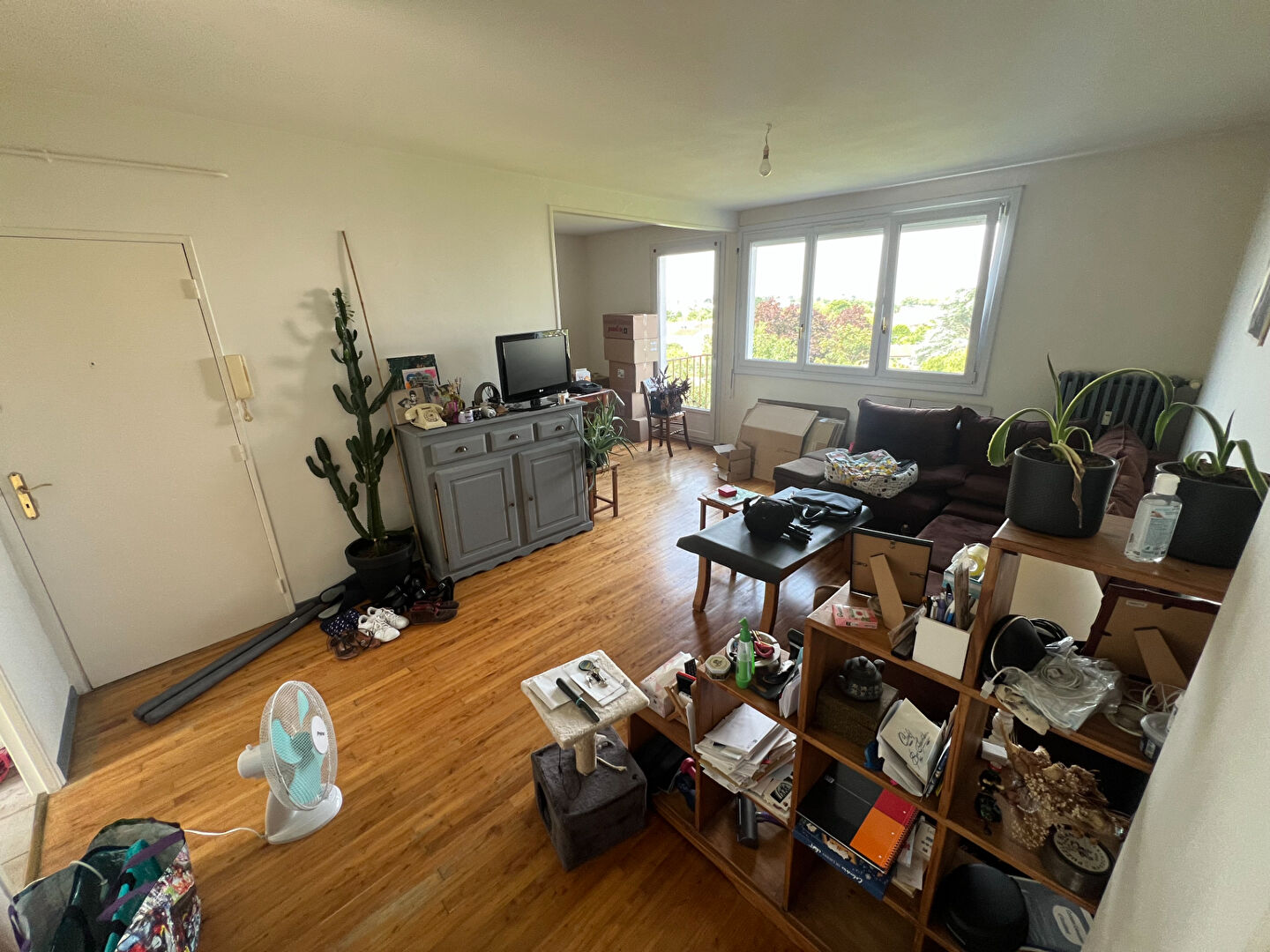 Agence immobilière de 203 Immobilier