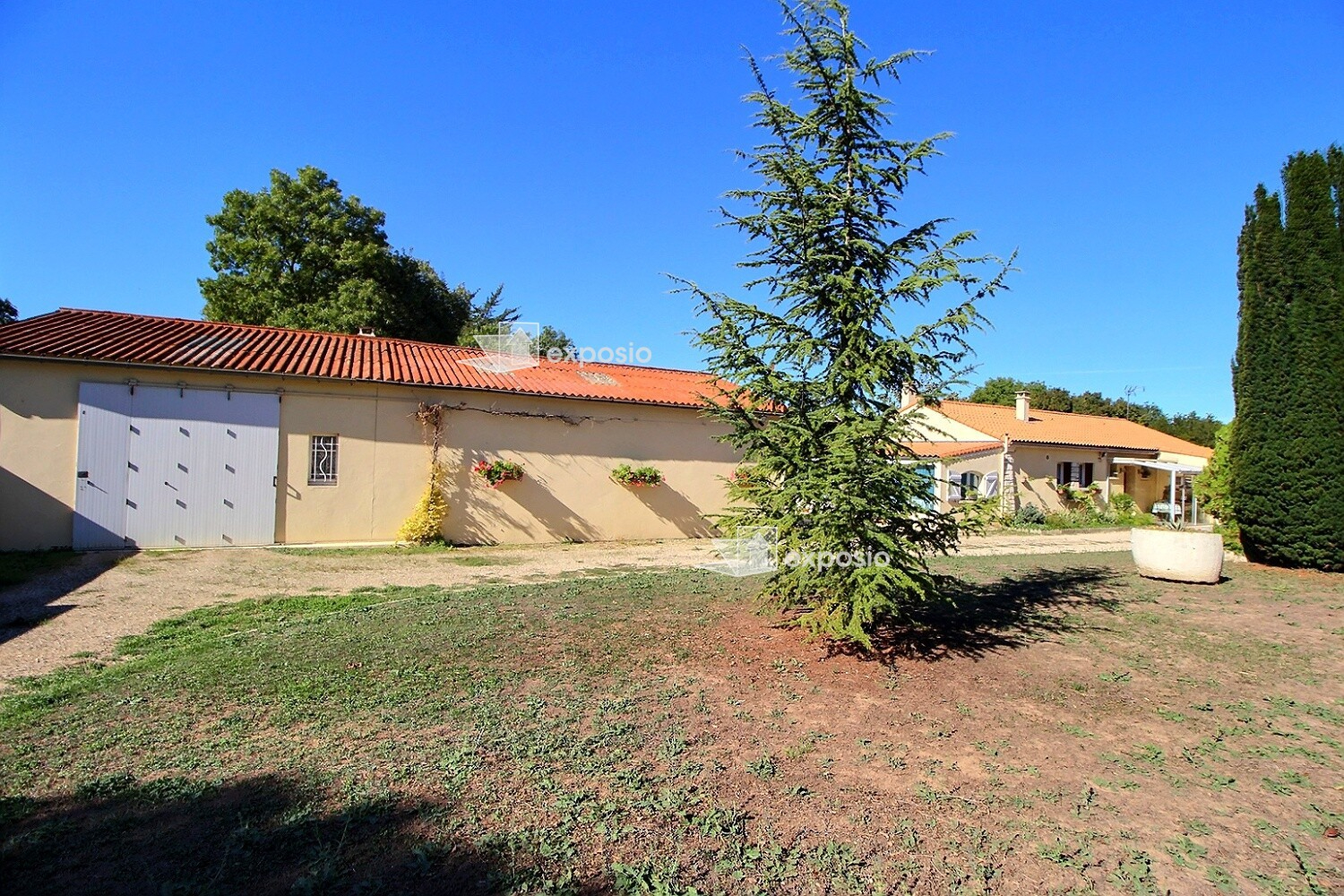 Agence immobilière de 203 Immobilier