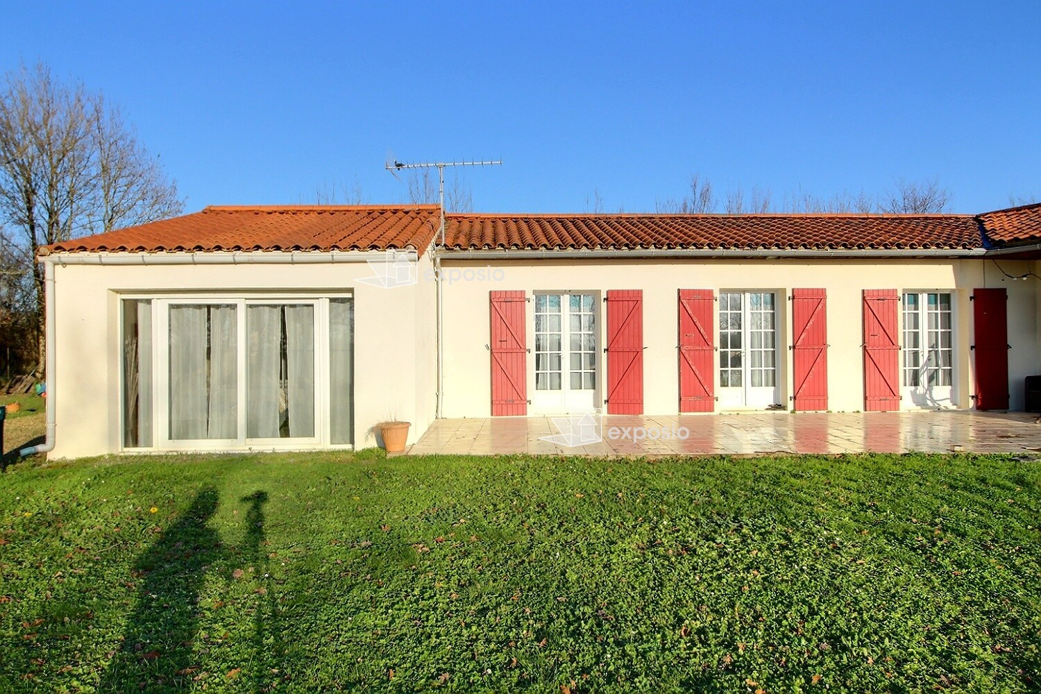 Agence immobilière de 203 Immobilier