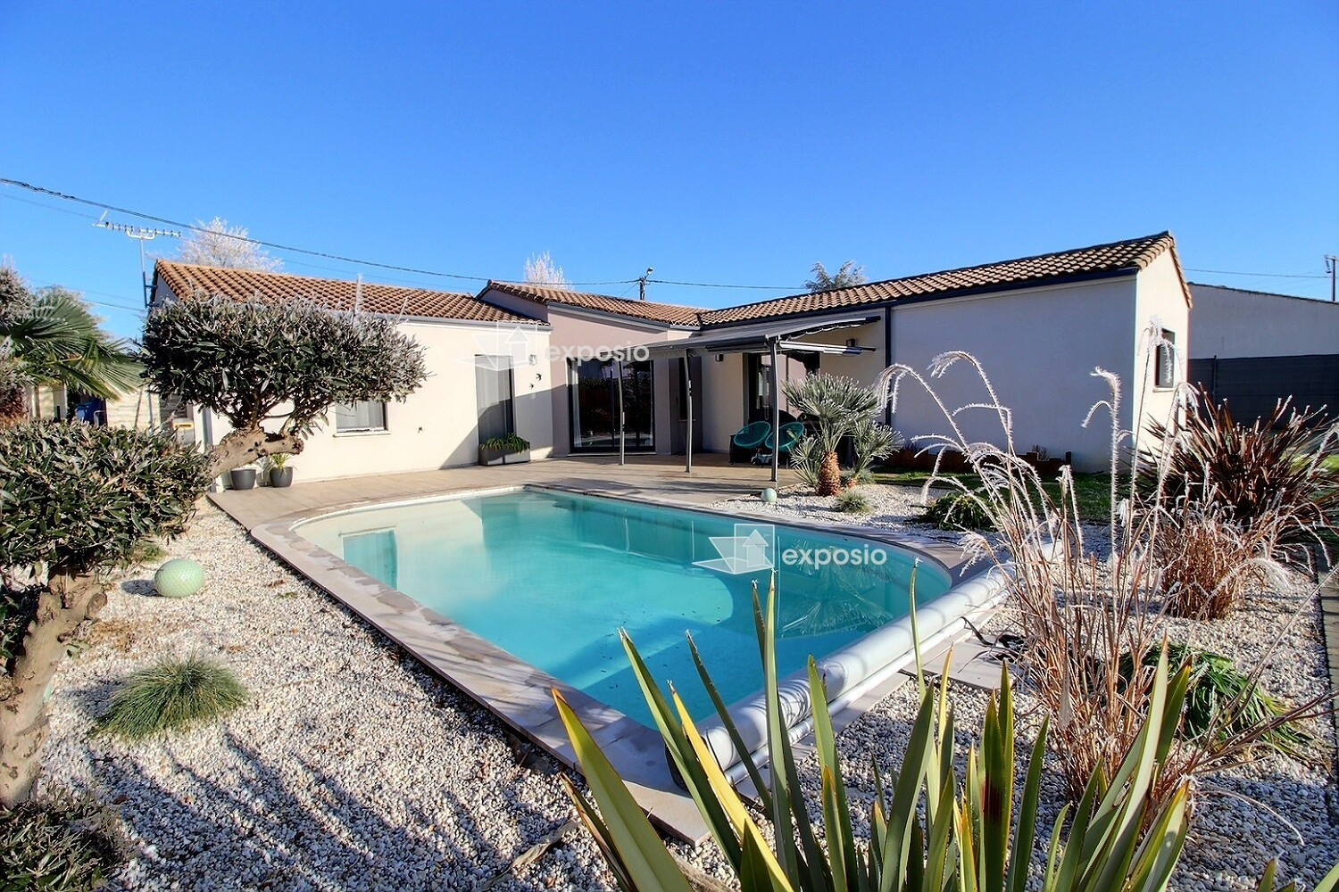 Agence immobilière de 203 Immobilier