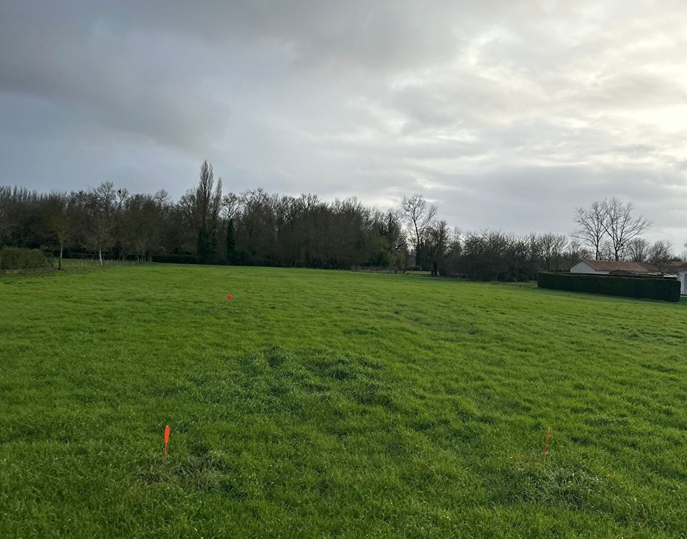 Agence immobilière de 203 Immobilier