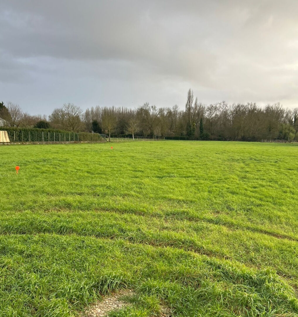 Agence immobilière de 203 Immobilier