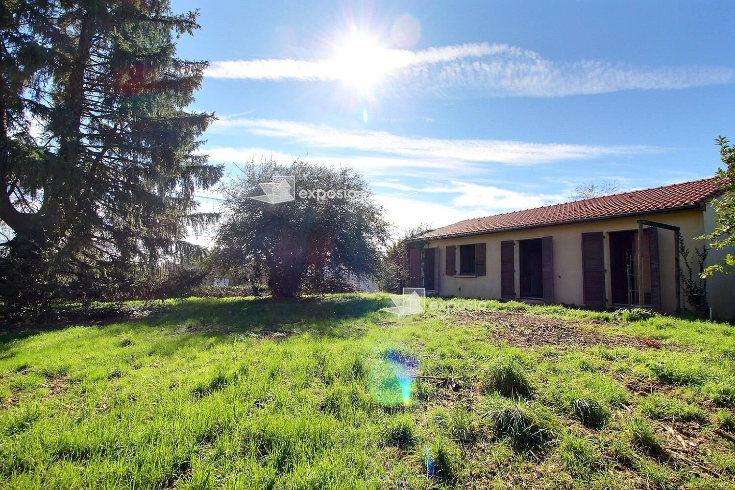 Agence immobilière de 203 Immobilier