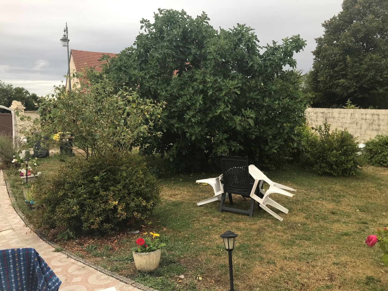 Photo Terrain 217 m2 image 3/5