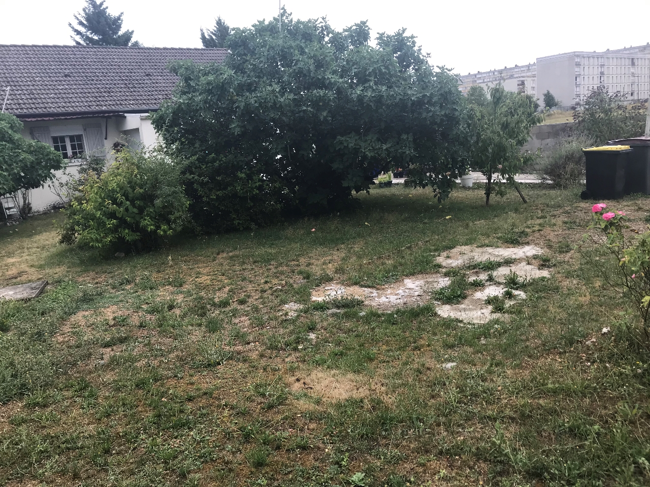 Photo Terrain 217 m2 image 4/5