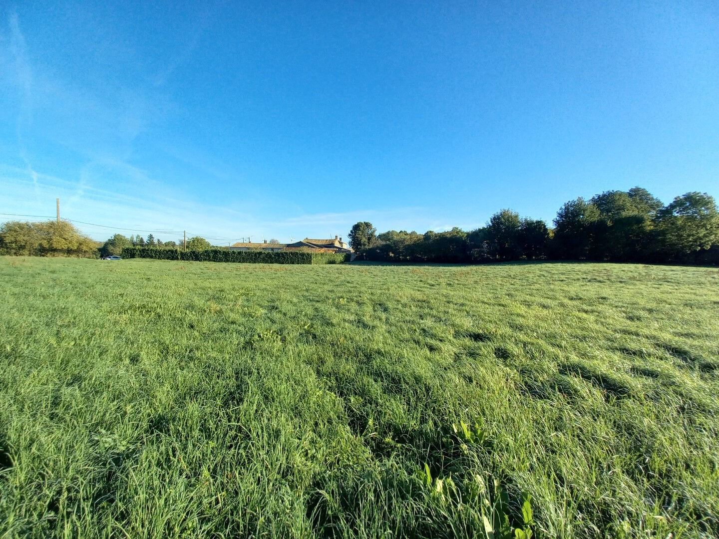 Photo Terrain constructible de 6090m² sur SAINT POMPAIN image 3/3