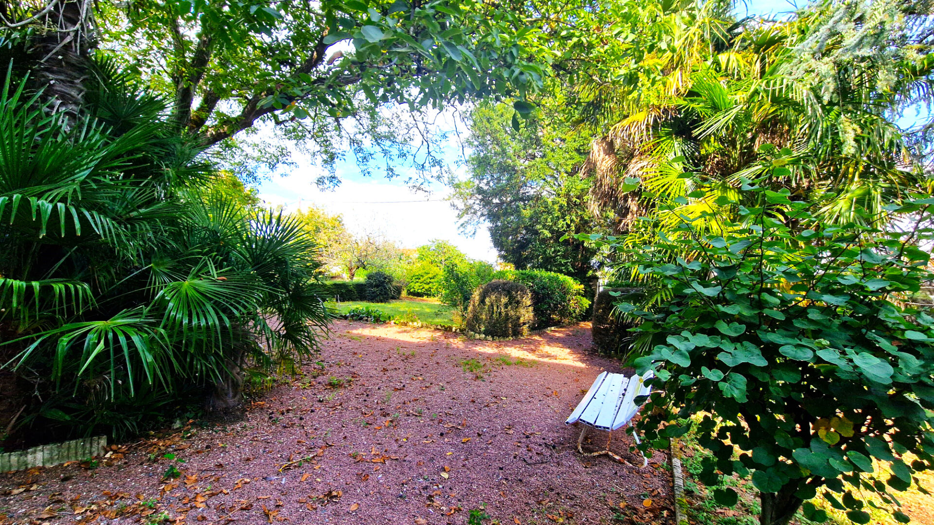 Photo Maison en pierre avec dépendances 3 chambres proche FONTENAY LE COMTE image 2/6