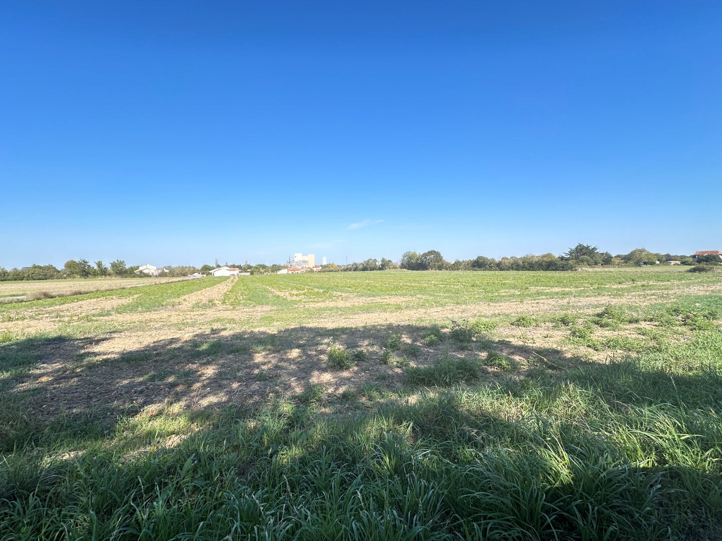 Photo Terrain SAINT PIERRE LE VIEUX  23690 m2 image 2/2