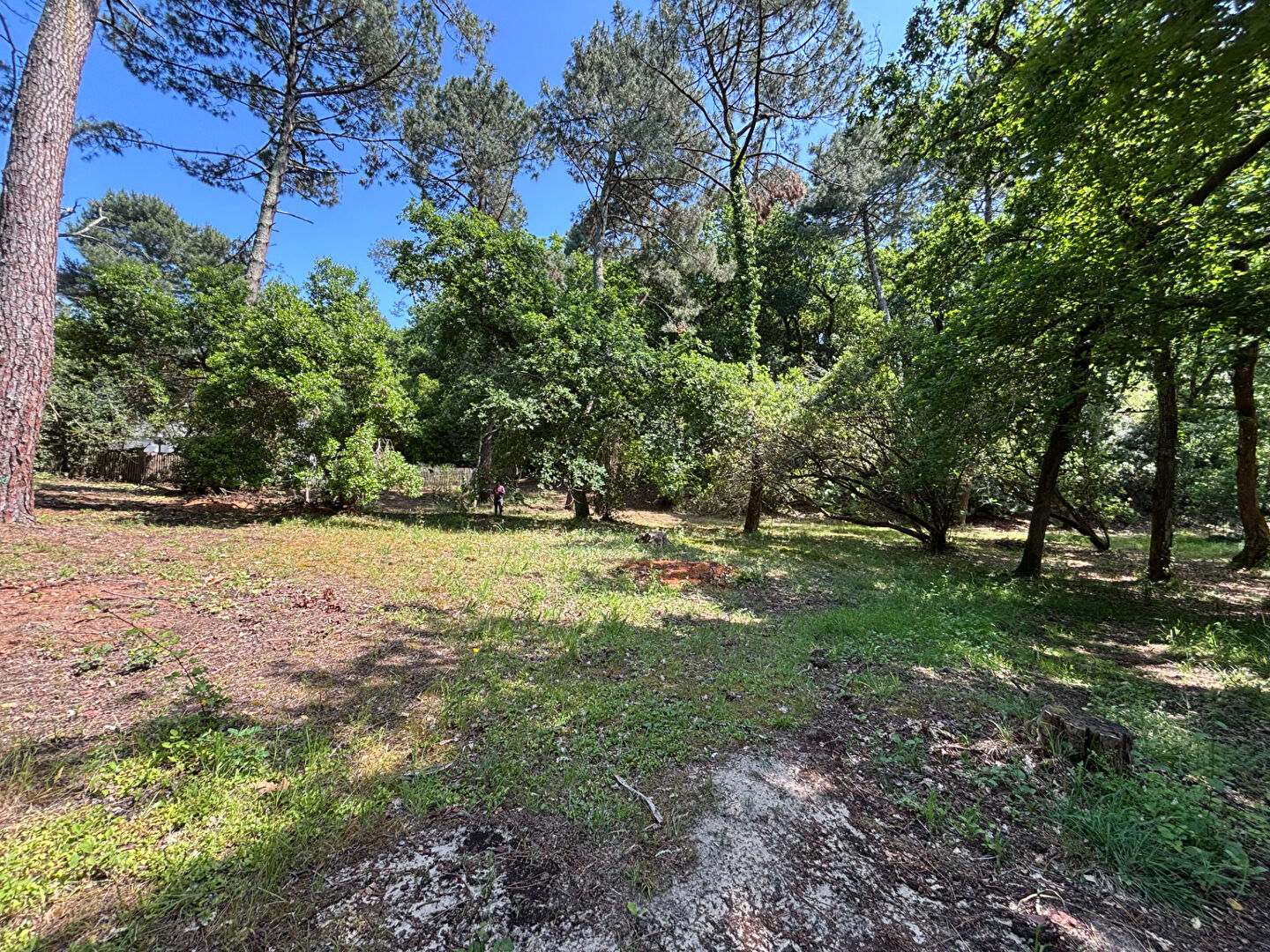 Agence immobilière de ABSOLUTE HABITAT Arcachon
