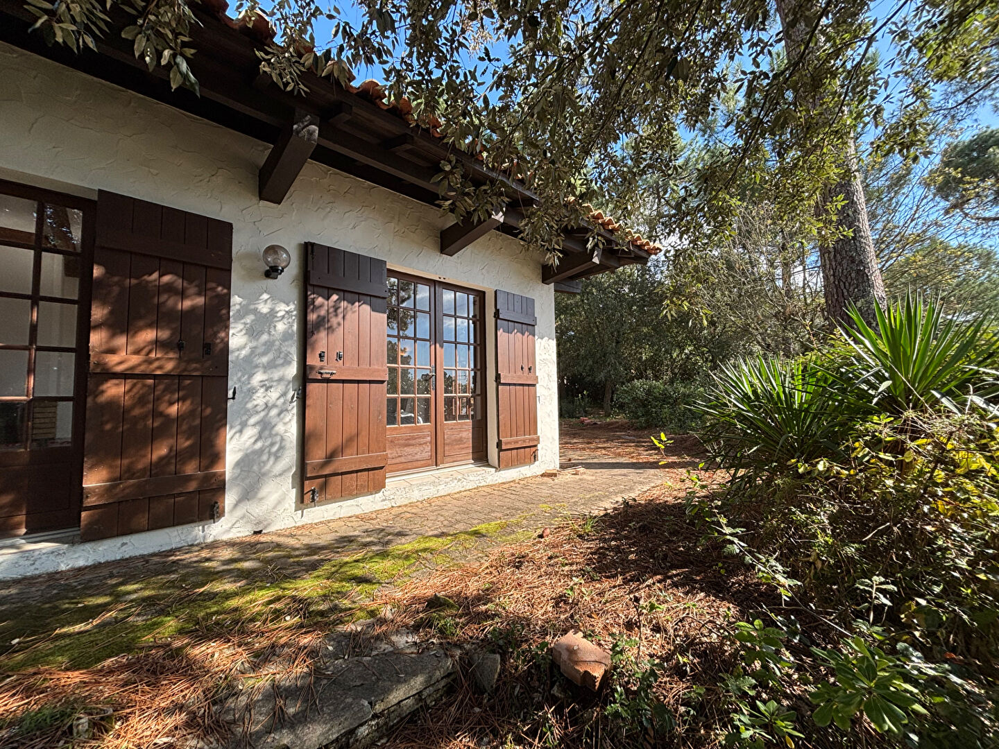 Agence immobilière de ABSOLUTE HABITAT Arcachon