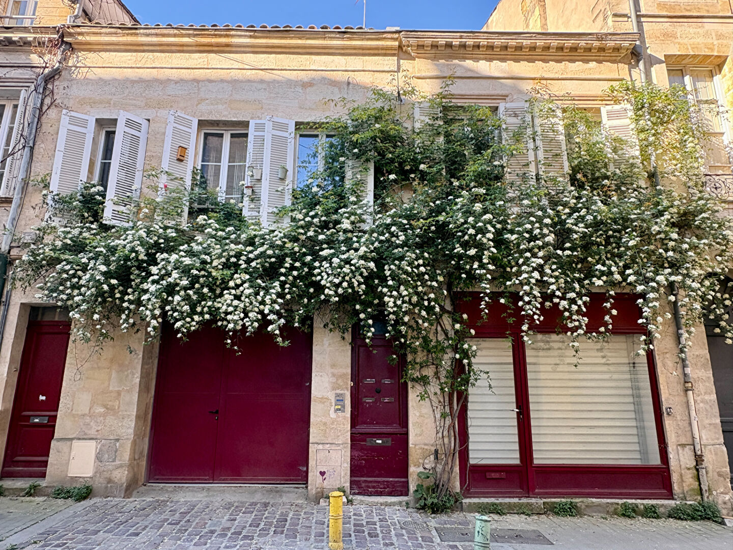 Agence immobilière de ABSOLUTE HABITAT Bordeaux