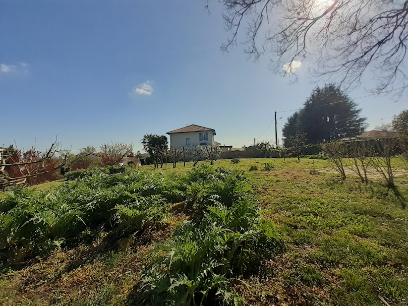 Vente - Terrain - DAX