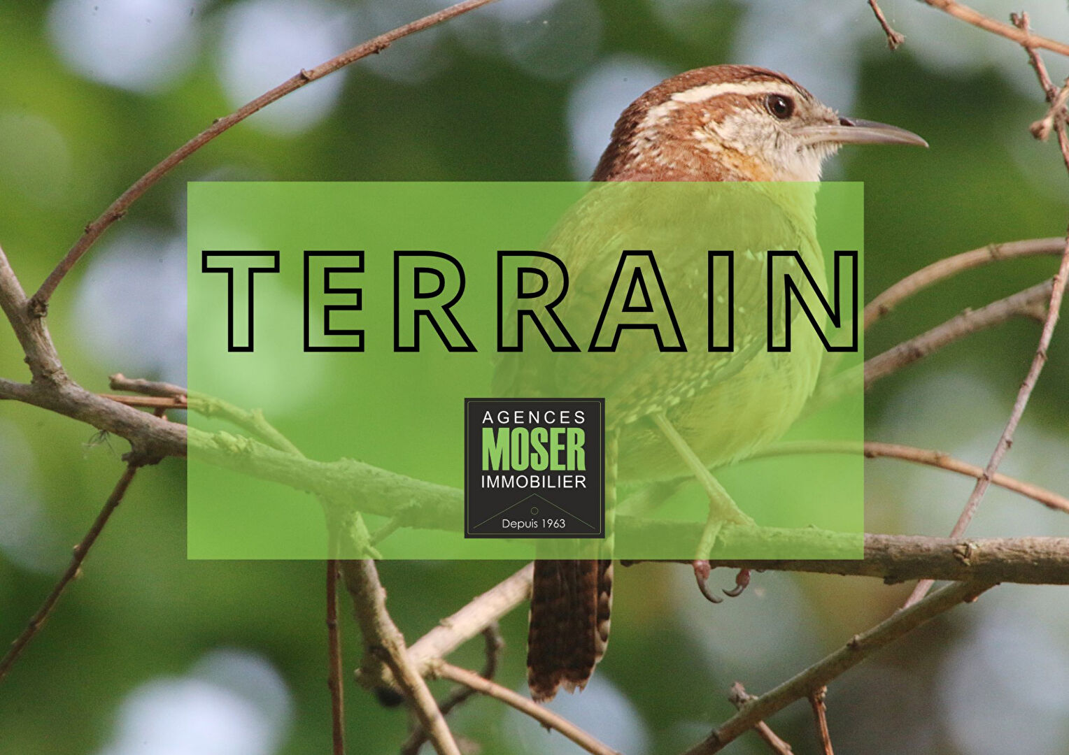 Vente - Terrain - ANGRESSE