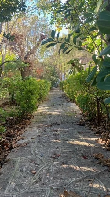 Photo Villa Années 50 avec studio garage et dépendances image 3/6