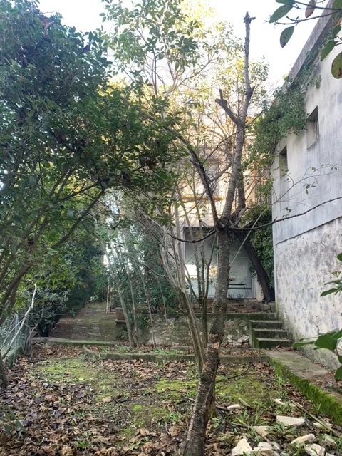 Photo Villa Années 50 avec studio garage et dépendances image 5/6