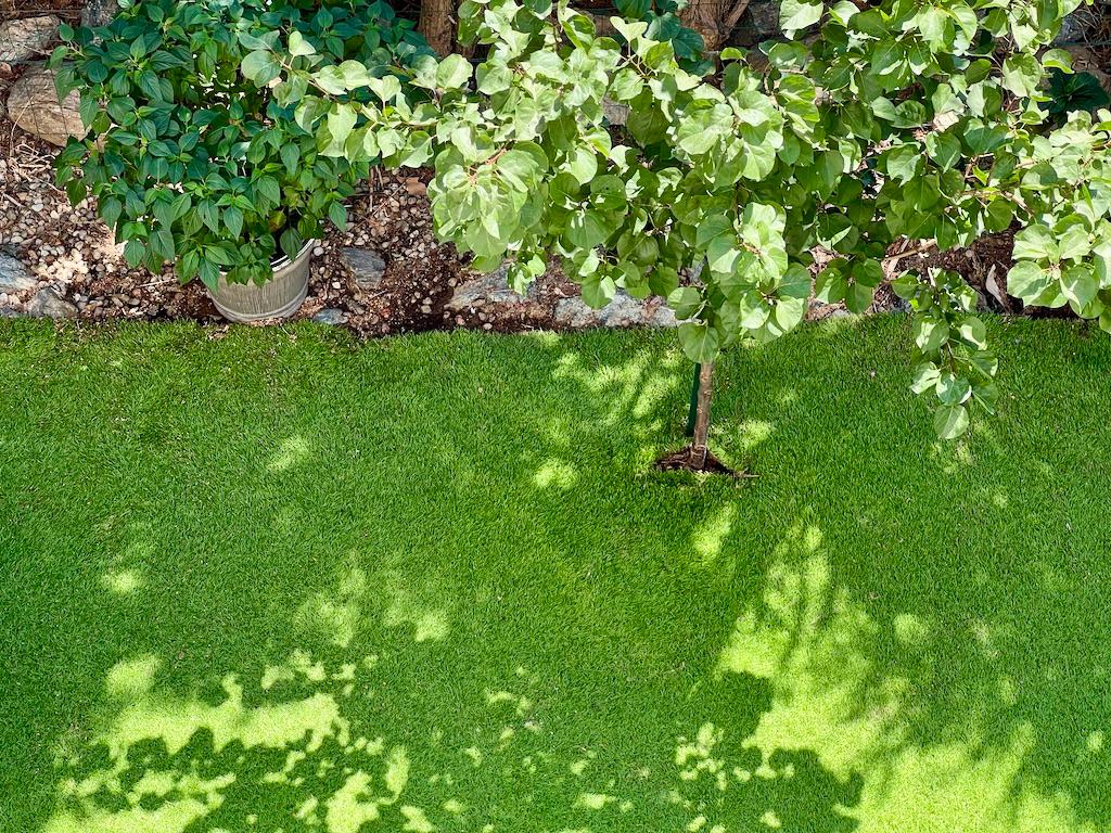 Photo Furiani Location Appartement 4 pièces, cuisine aménagée, clim, doubles vitrages, parking image 6/6