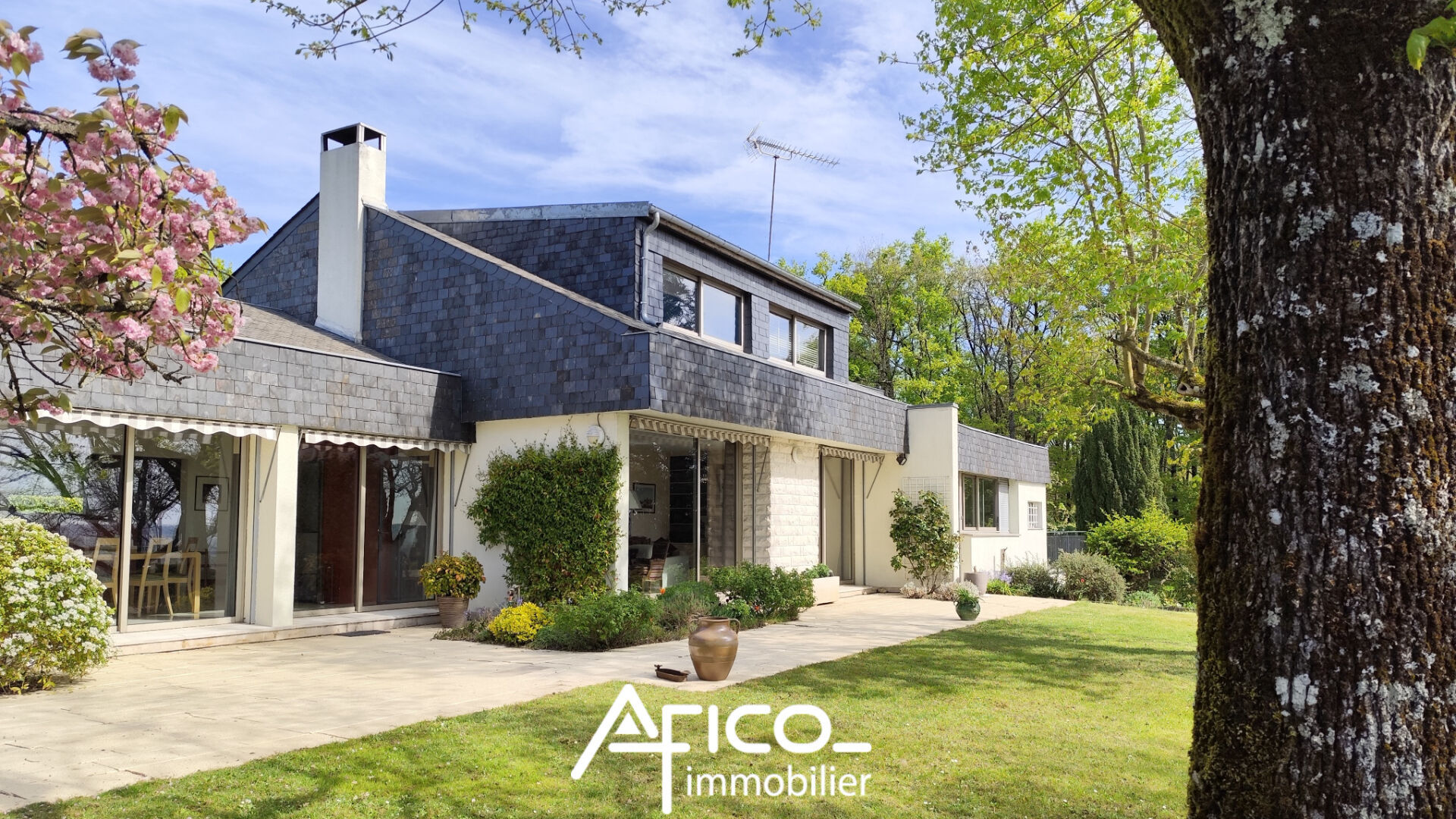 Agence immobilière de AFICO