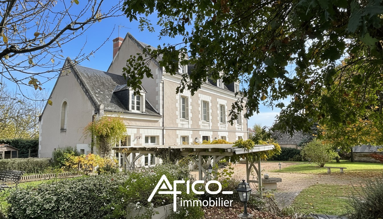 Maison - 308 m² - Azay Le Rideau