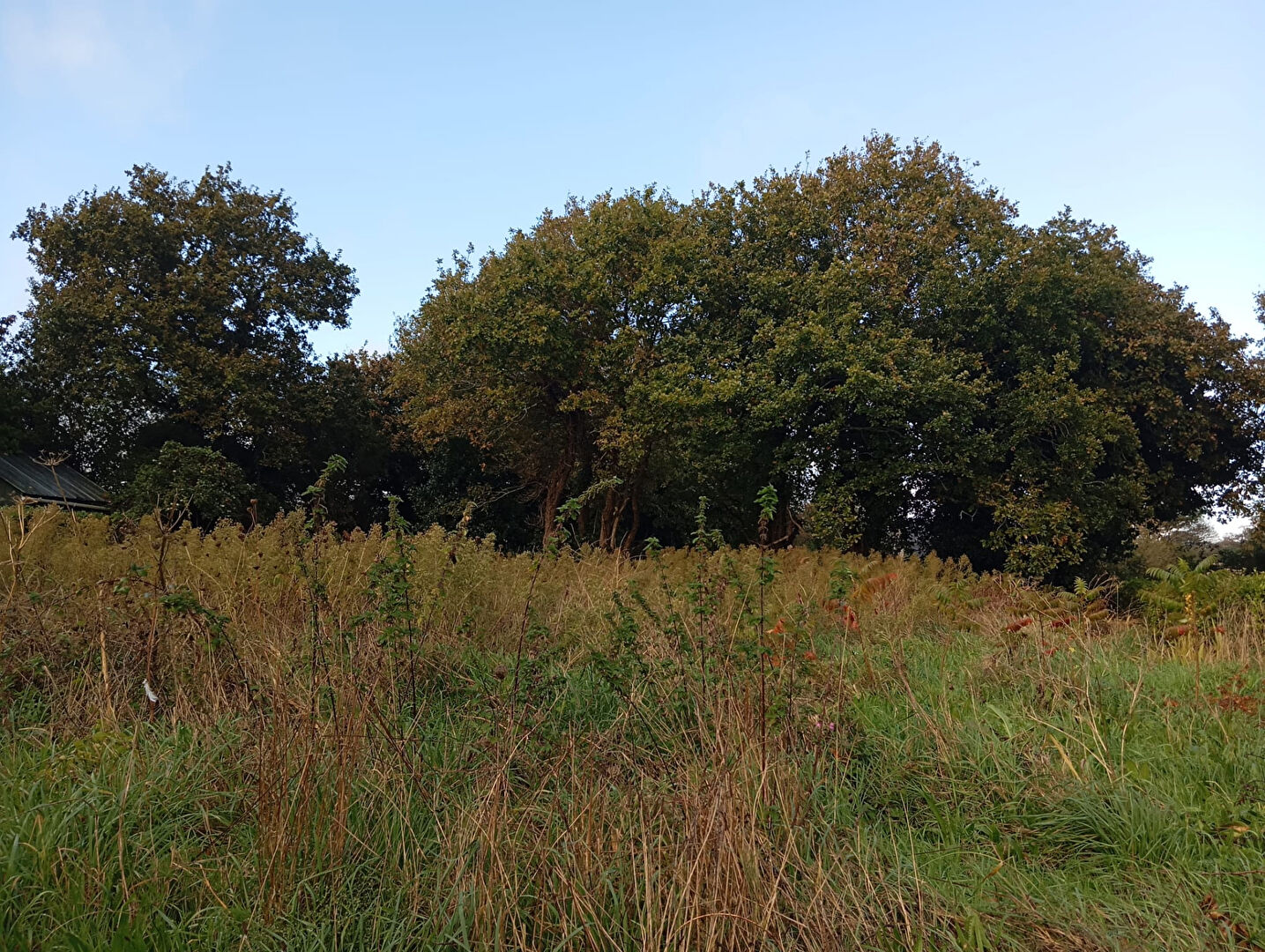 Agence immobilière de AG Immobilier