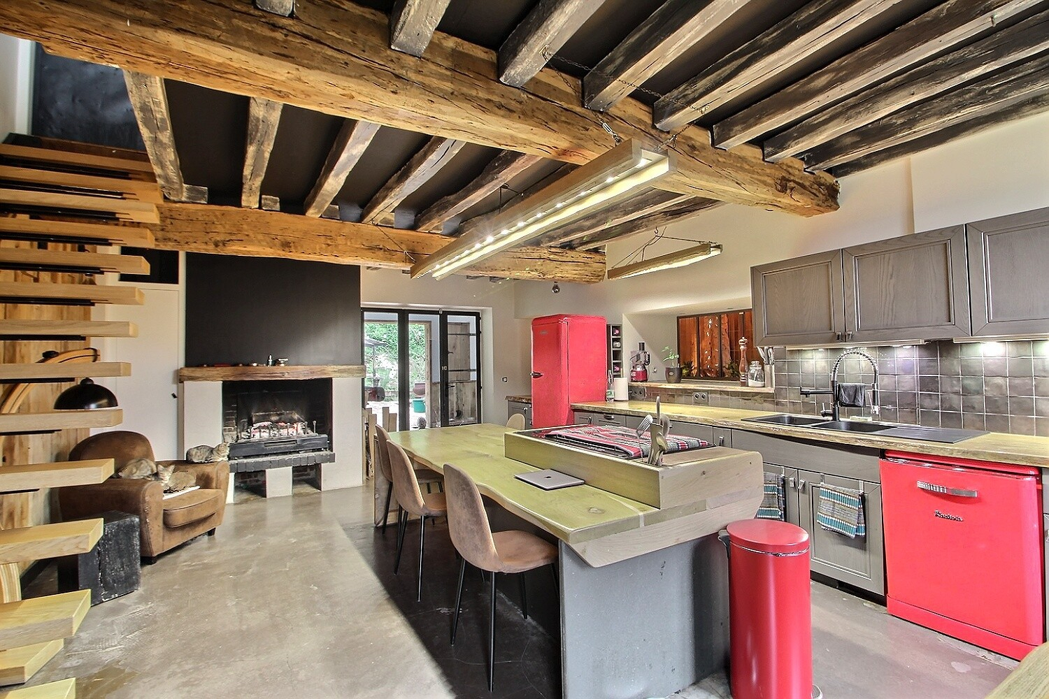 Photo La maison aux chats image 5/6