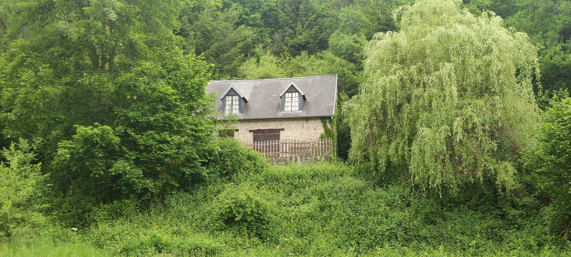 Photo Maison sur  6000 m2 , La Nature et toujours  La Nature image 2/6