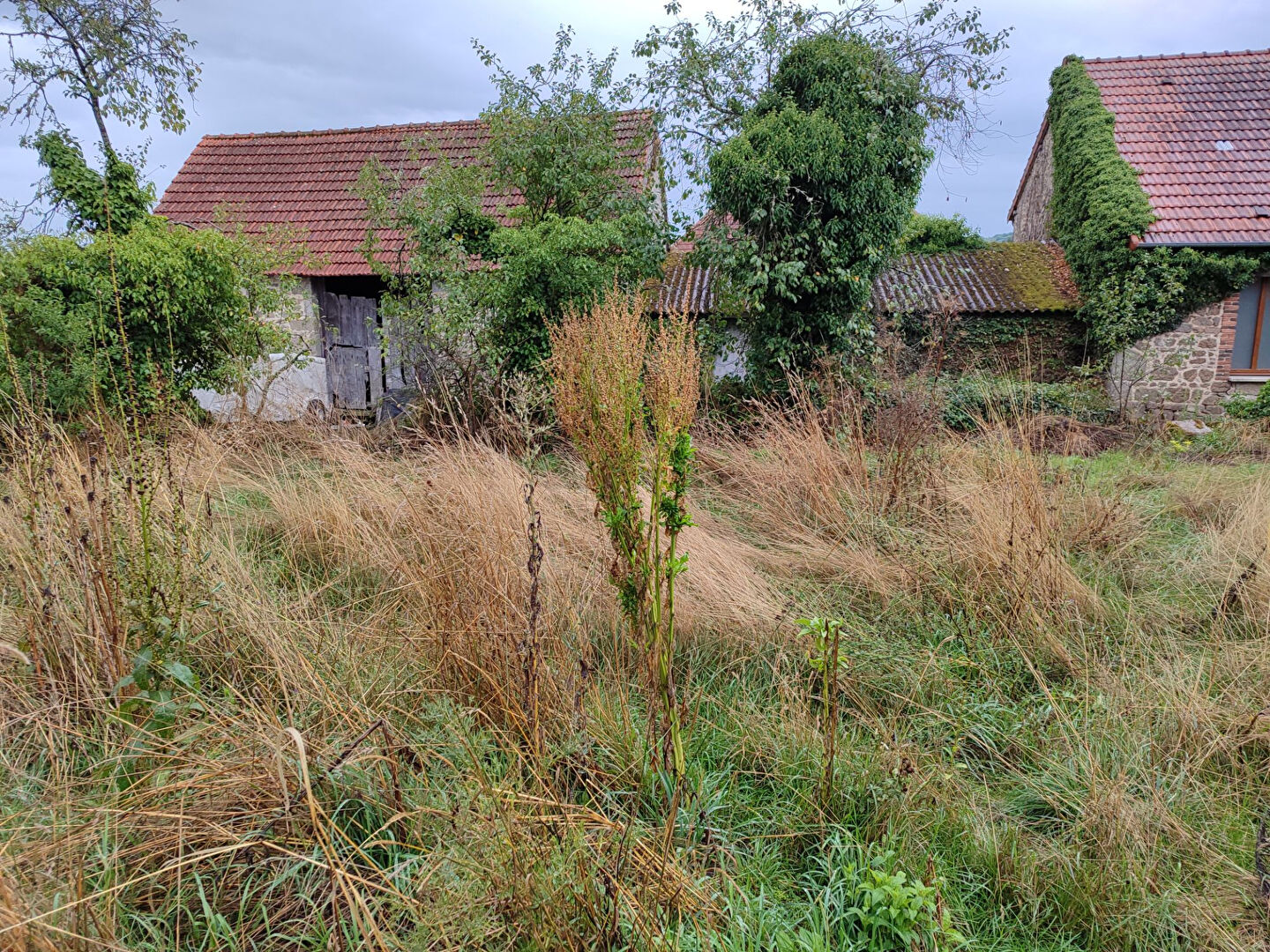 Vente Maison de 4 pièces 60 m² - SAINT MARTIAL LE MONT 23150 | AGENCE CREUSOISE - IMOGROUP photo7