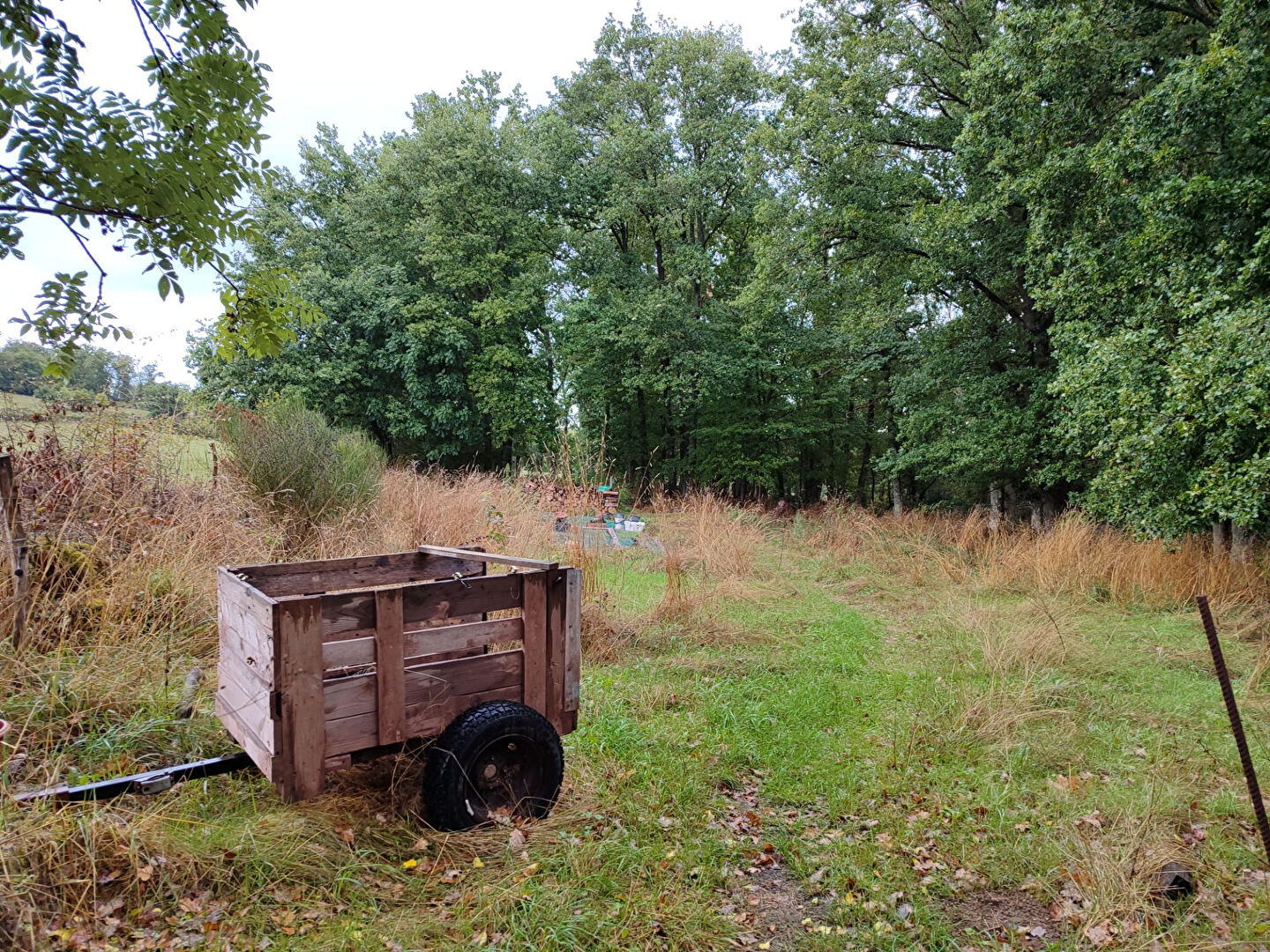 Vente Maison de 4 pièces 60 m² - SAINT MARTIAL LE MONT 23150 | AGENCE CREUSOISE - IMOGROUP photo12