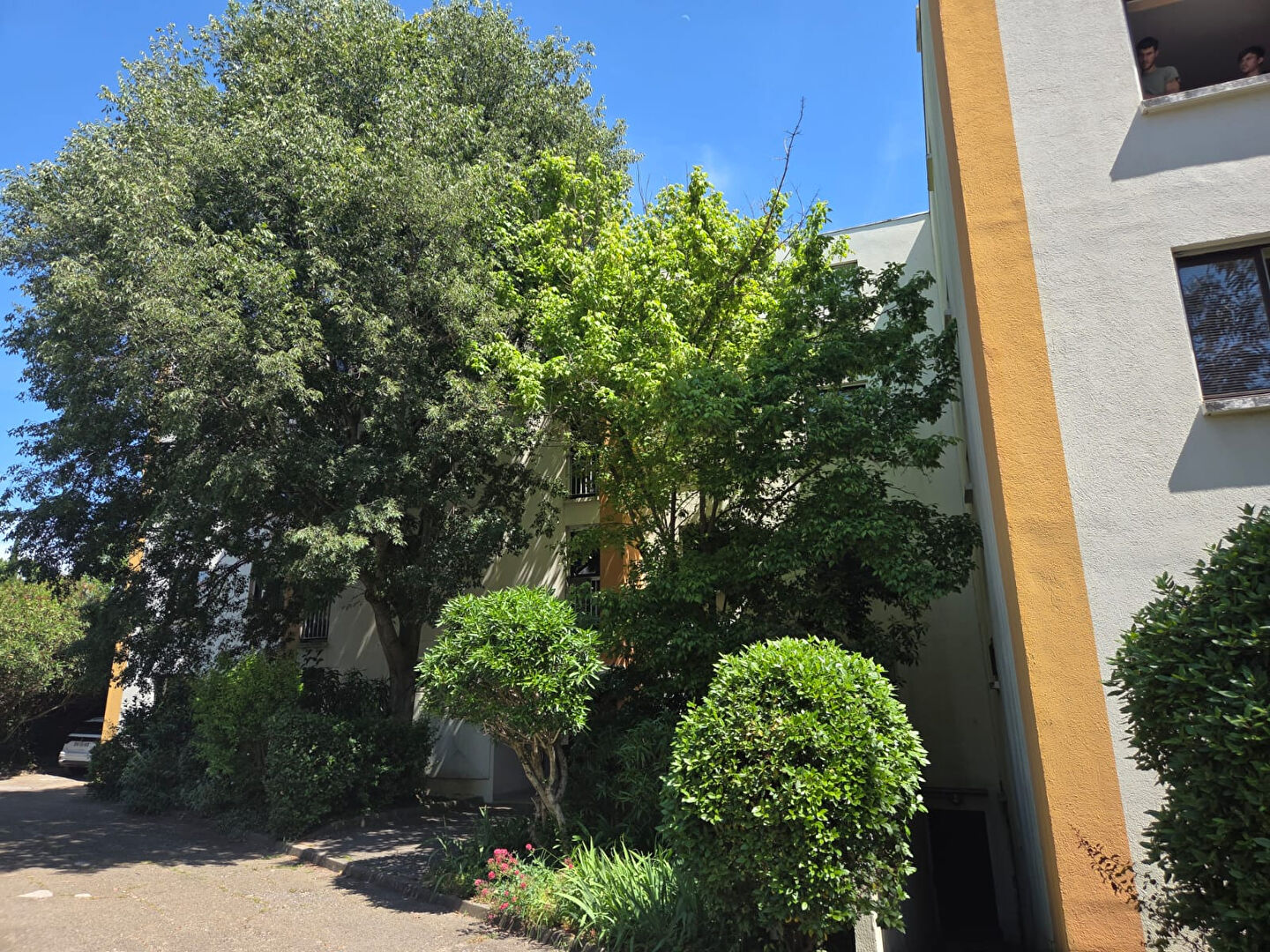 Agence immobilière de AGENCE DE LA COMEDIE