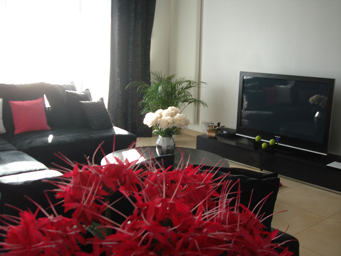 Photo A LOUER APPARTEMENT 3 PIECES PRINCIPALES 69,02m² - Gare RER A image 4/6