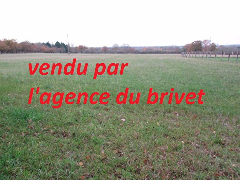 Agence immobilière de AGENCE DU BRIVET