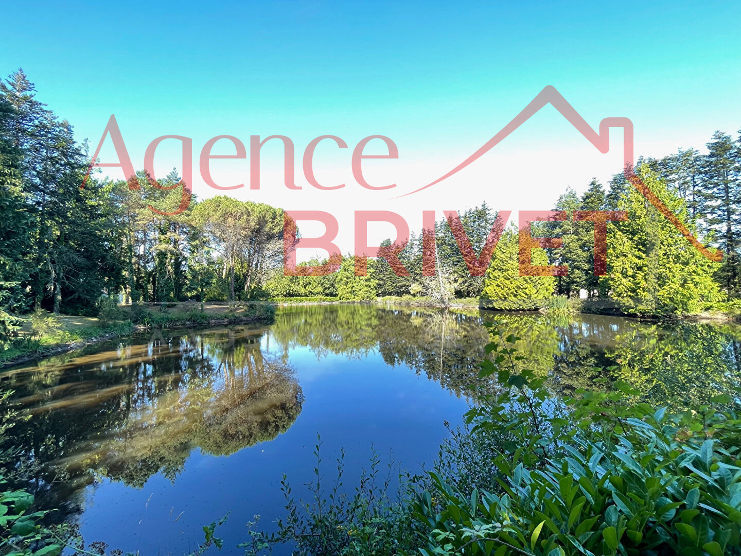 Agence immobilière de AGENCE DU BRIVET