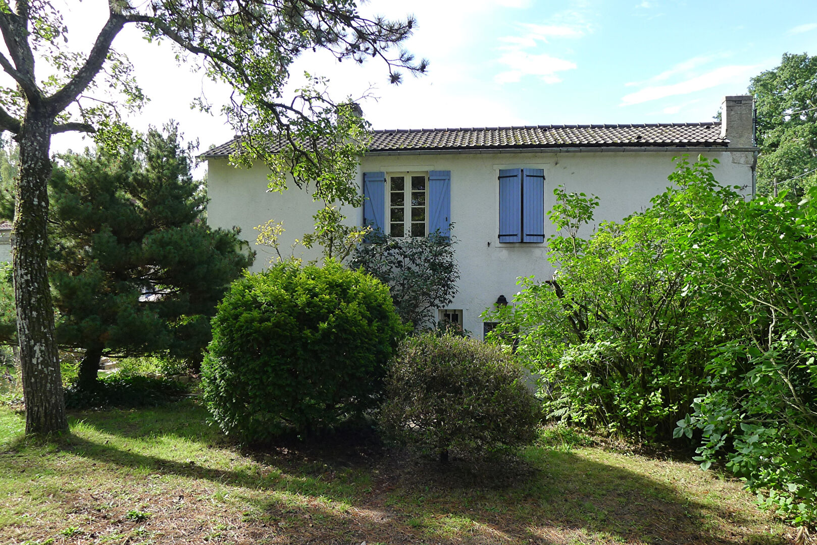 Photo Proche Montfort forêt à pieds image 1/6