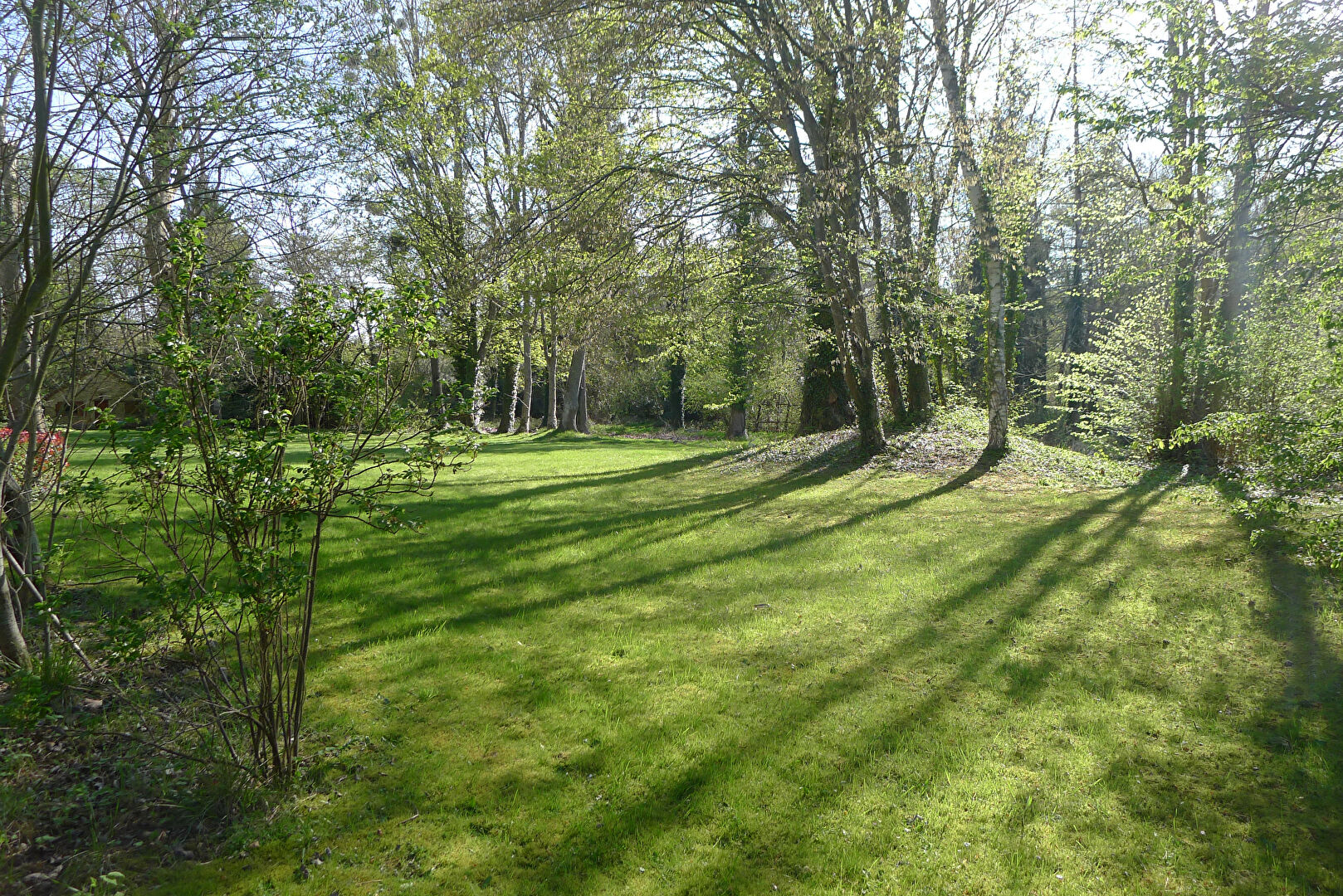 Photo région Saint Léger en Yvelines image 6/6