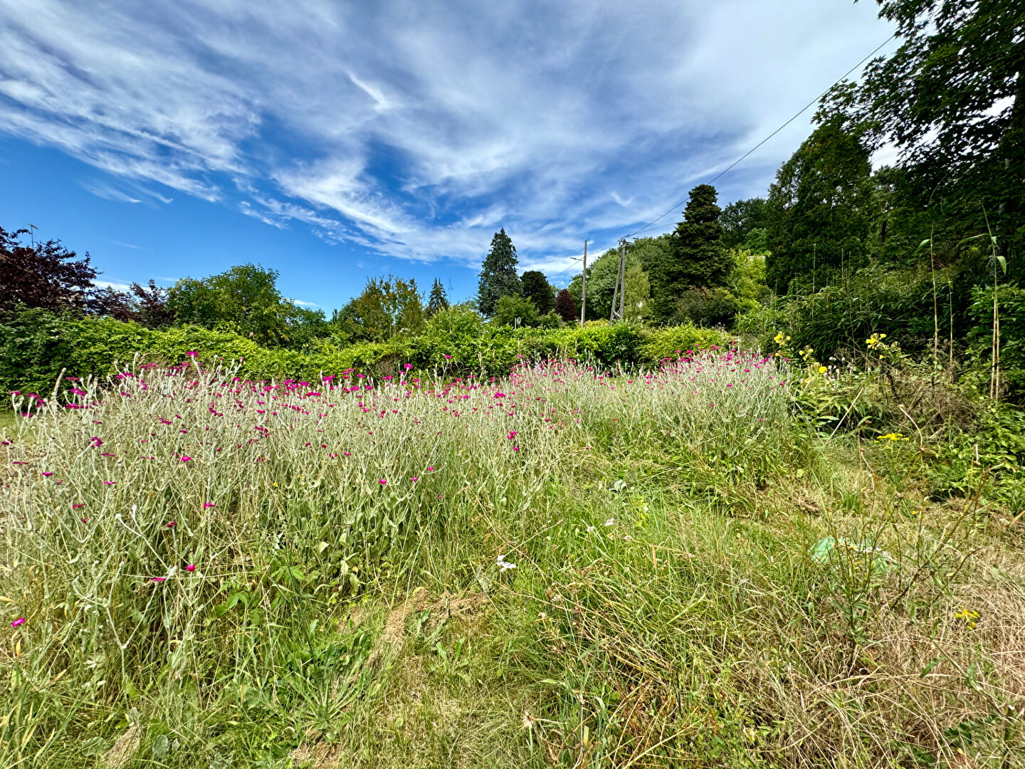 Photo Maison familiale image 4/6