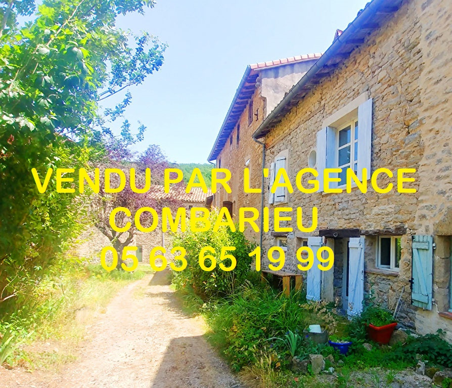 A 10 minutes de Saint Antonin maison avec terrasse SaintAntoninNoble