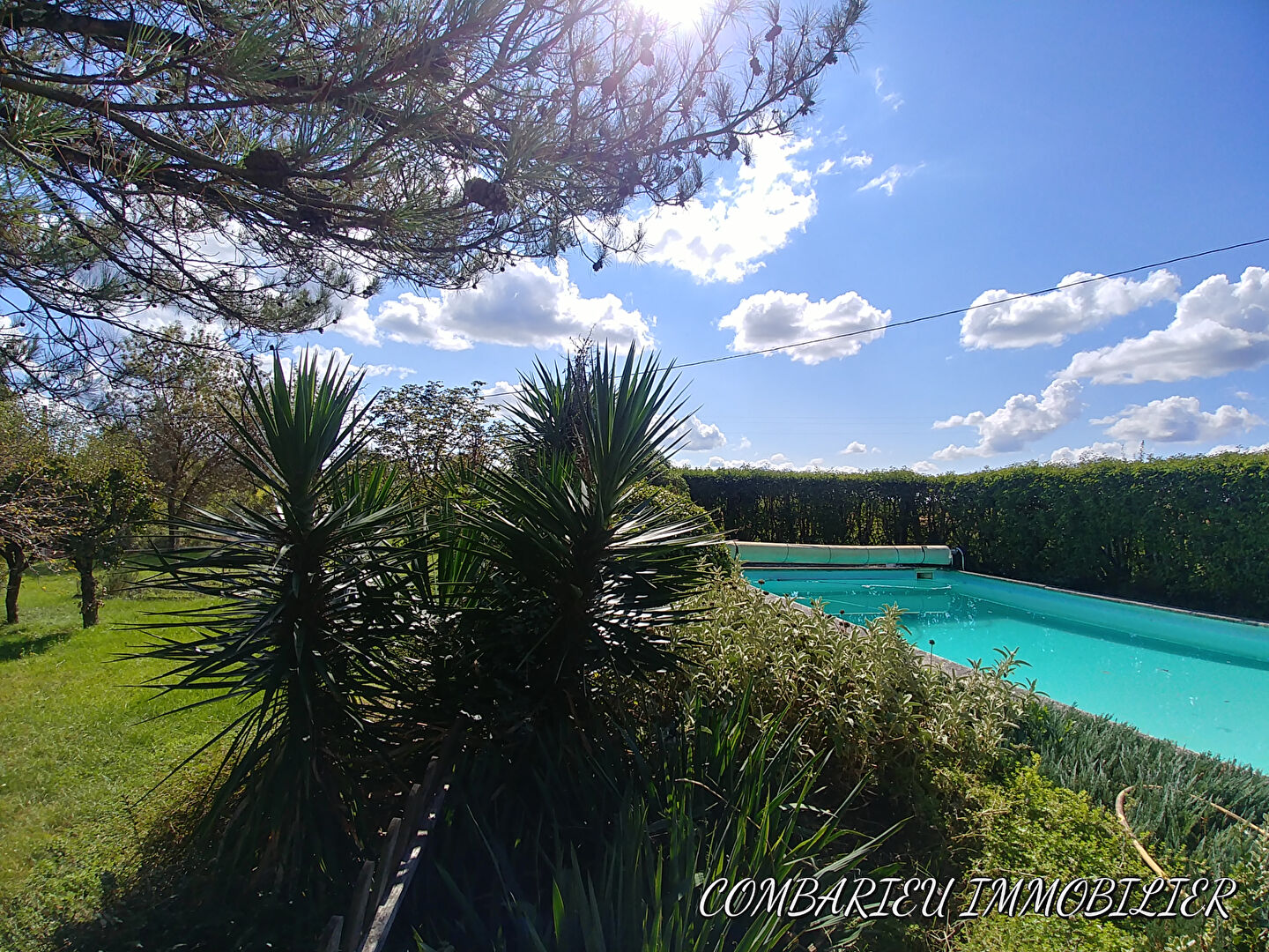 Photo Maison en pierre proche de Caussade !  6 chambres - 1 hectare de terrain image 2/6