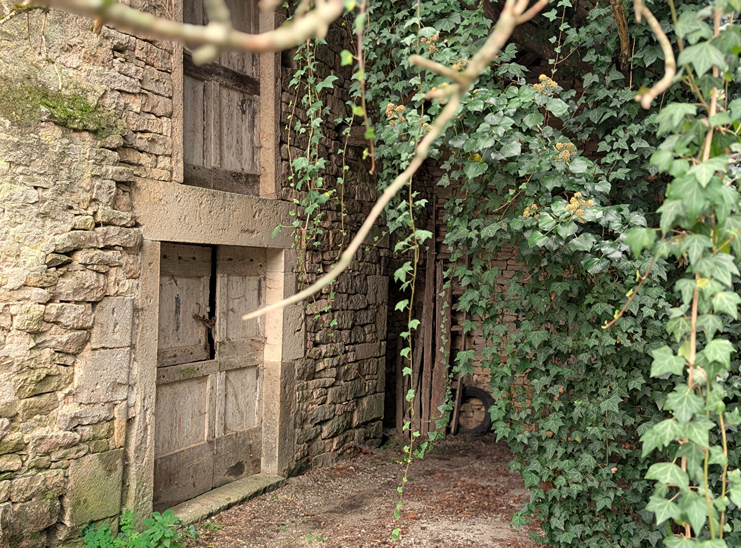 Photo Maison Saint Projet image 2/6