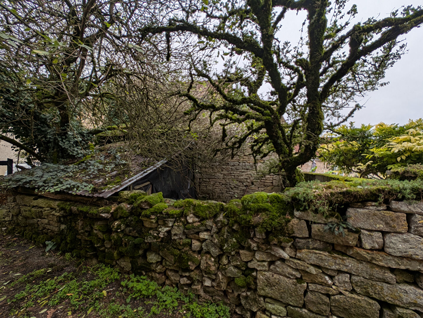 Photo Maison Saint Projet image 4/6